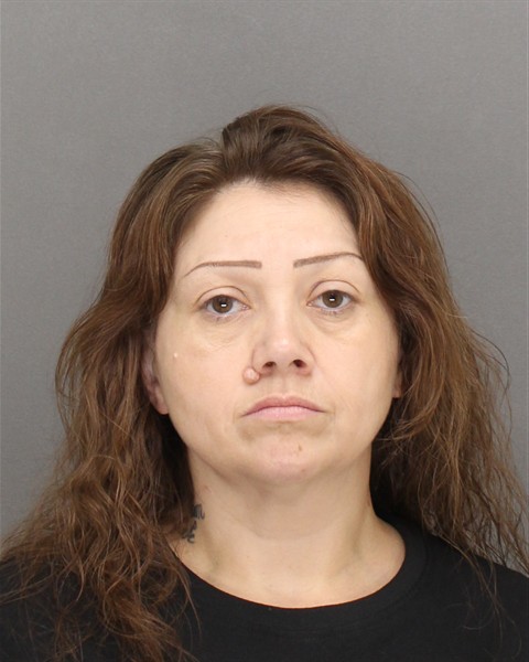 Mugshot of CHADENE MARIE SKENANDORE