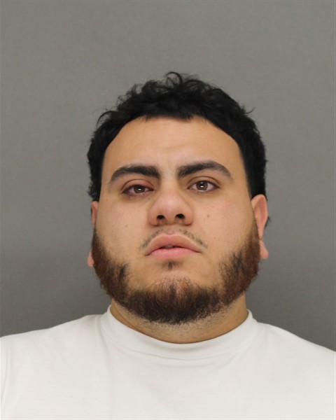 Mugshot of DAVID-EASI NMI GARZA