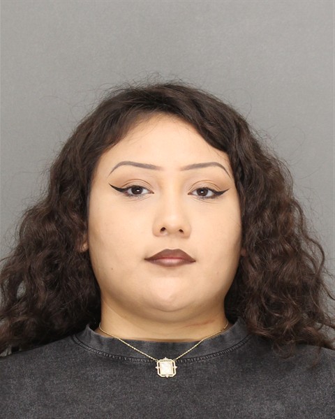 Mugshot of ANAISE NMI DELAROSA