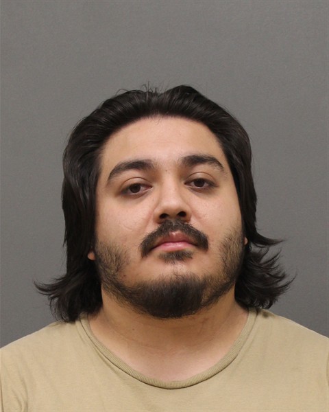 Mugshot of MARIO NMI TORRES