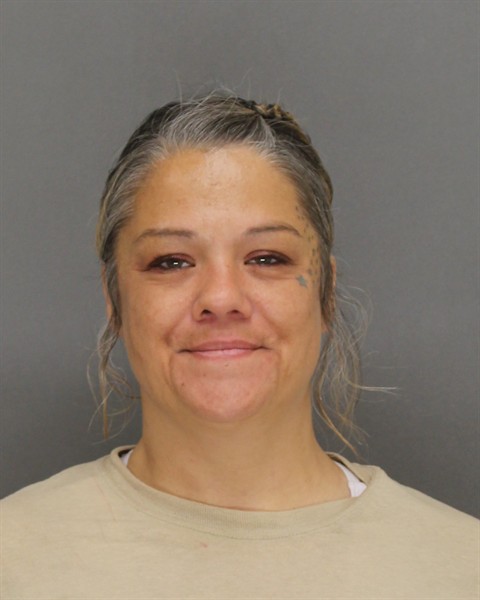Mugshot of AMBER MARIE LAMERS