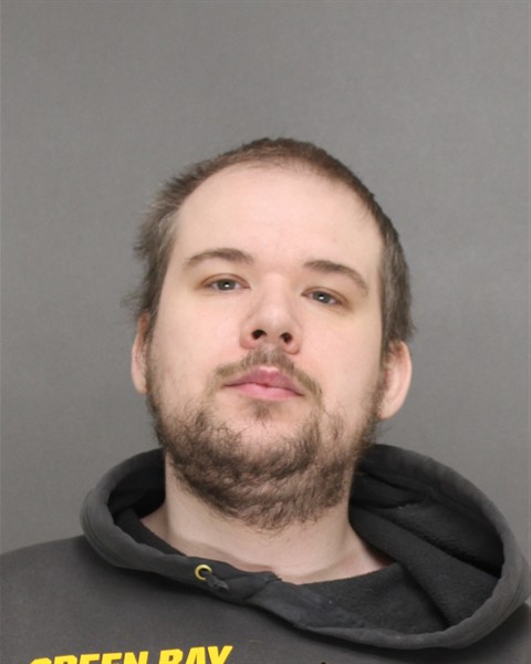 Mugshot of ANDREW MICHAEL HALVERSON