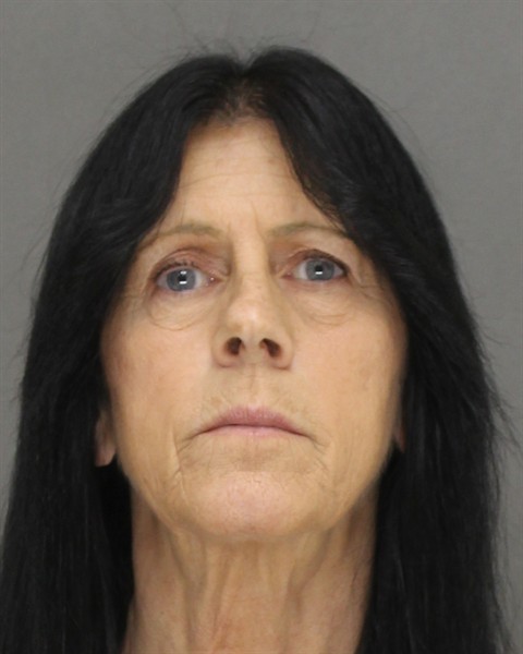 Mugshot of LISA ANN PETERSON