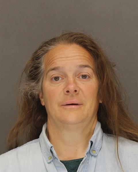 Mugshot of PATRICIA MAY VOGEL