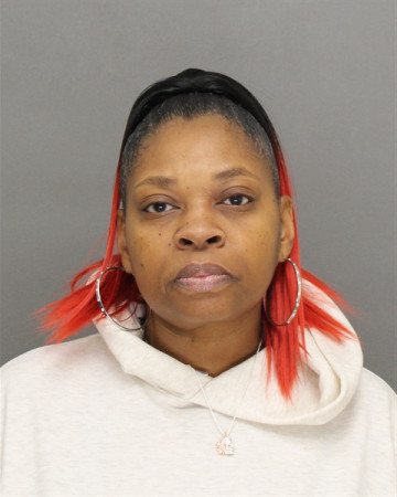 Mugshot of VALERIE NMI YOUNG