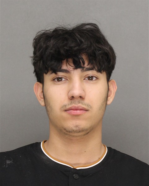Mugshot of DANIS JOSUE ROCHA-RAMIREZ