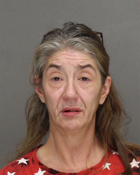 Mugshot of AMBER LYNNE VANNES