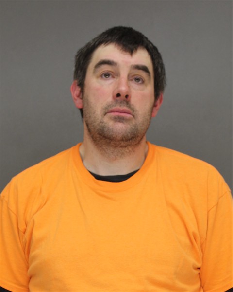 Mugshot of PAUL DANIEL AMENSON