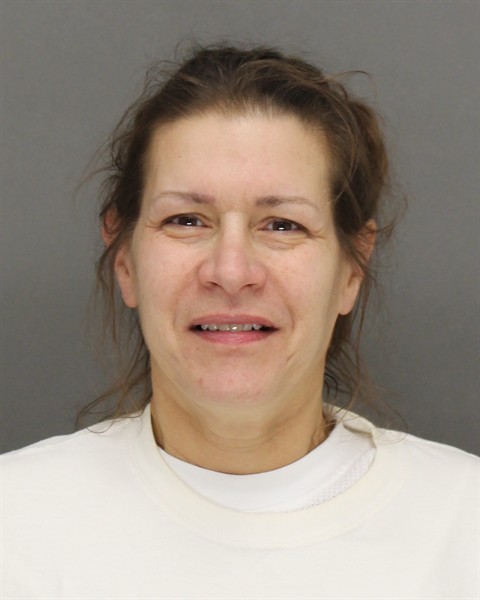 Mugshot of LAVONNE RUTH HOLSONBACK