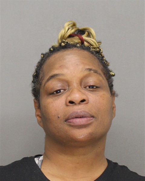 Mugshot of ANITA SHEREE ELLIS