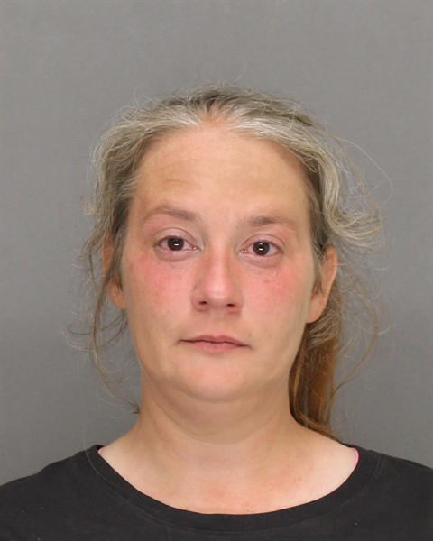 Mugshot of AMANDA MARIE LEE