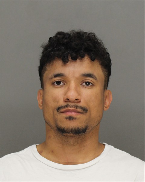 Mugshot of MARIO BRYANT RICKETTS