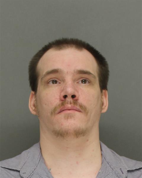 Mugshot of SHELDON JAMES BIERKE