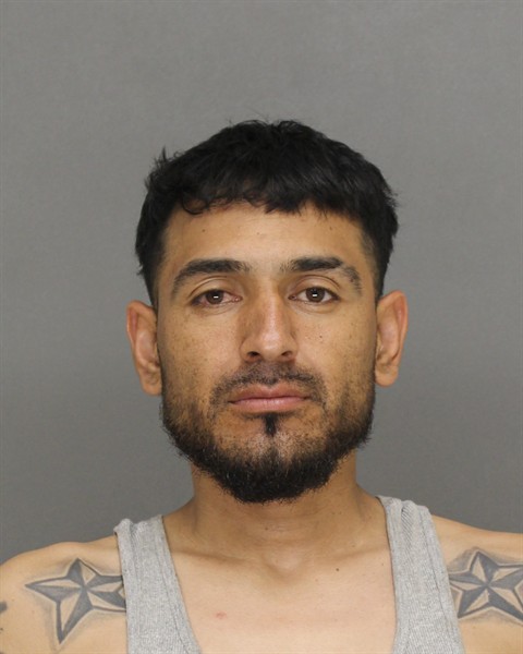 Mugshot of RODRIGO NMI SALINAS-IBARRA