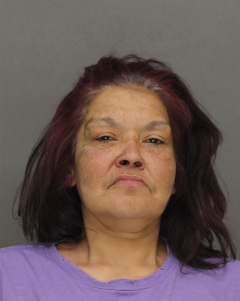 Mugshot of ALINA JEAN MORALES