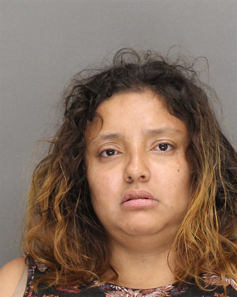 Mugshot of DANIELA NMI ALZATE-OCAMPO
