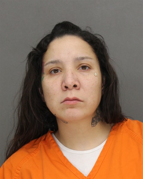 Mugshot of KASSANDRA LOUISE POWLESS