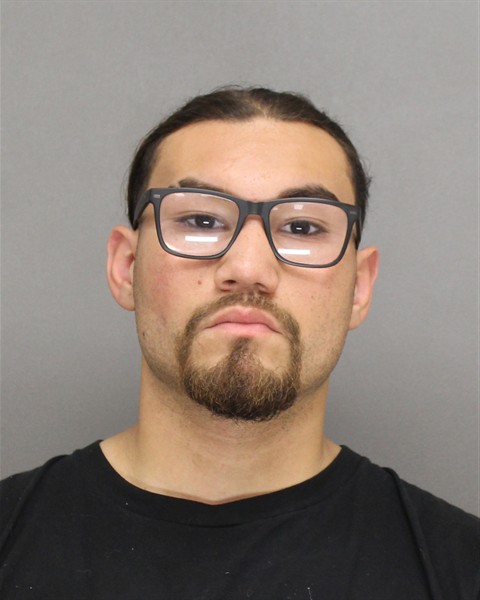 Mugshot of SERGIO GABRIEL LEDESMA-ANGLADA