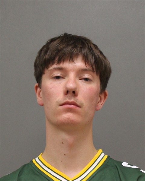 Mugshot of RYAN WARREN BAYERL