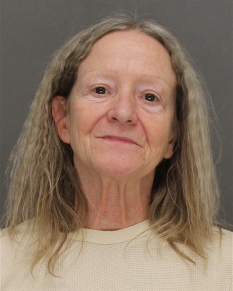 Mugshot of LAURIE ANN WENDT