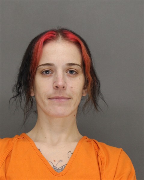 Mugshot of BRITTANY LYNN STEINKE