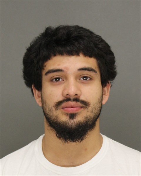 Mugshot of ALEXANDER NMI ALVAREZ-ALVAREZ