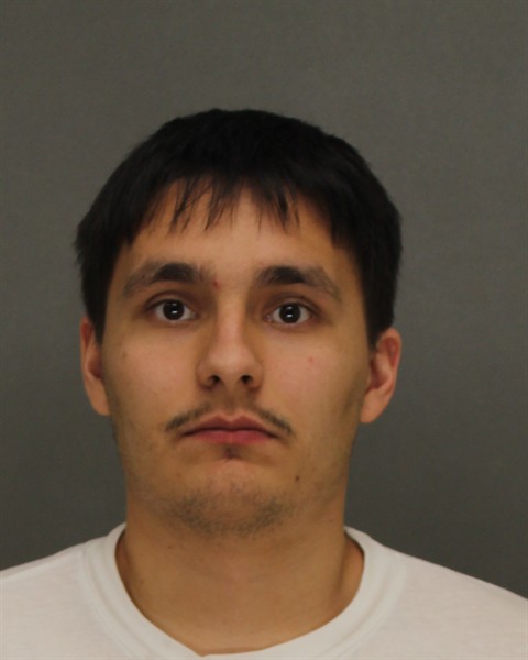 Mugshot of DAEGAN BEARS STEVENS
