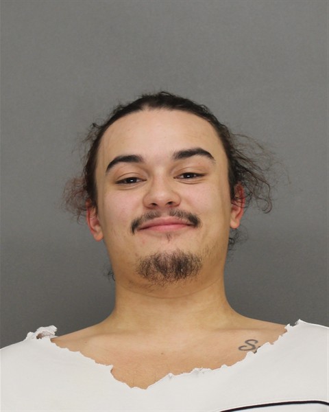 Mugshot of JAMES BERNARD SPRIGGS