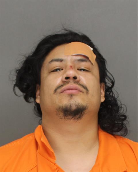 Mugshot of PABLO FERNANDO DOMINGUEZ