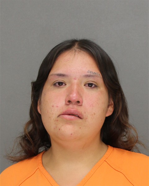 Mugshot of SHYE ANN OSHKESHEQUOAM