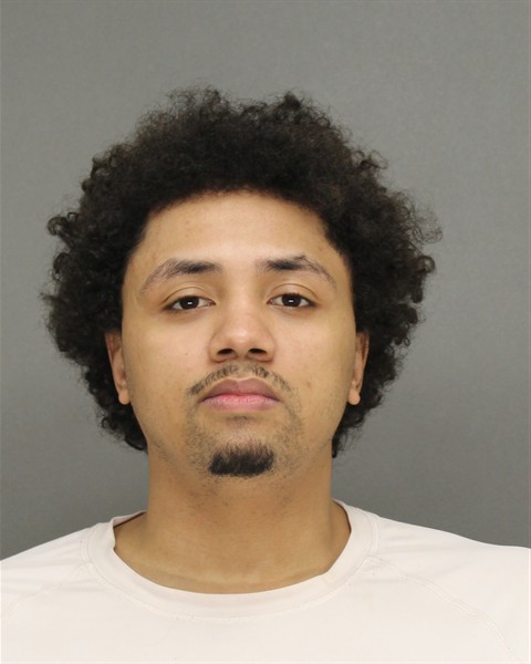 Mugshot of DEEON TYSON WILLIAMS