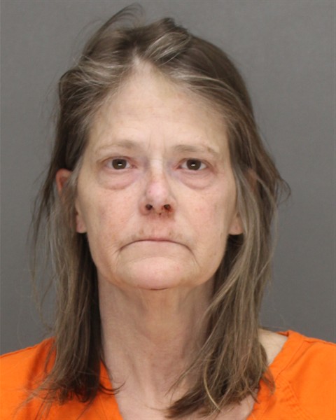 Mugshot of MICHELLE KAY RENIER
