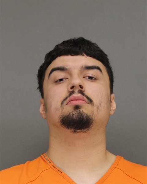 Mugshot of ELVIS BRANDON ALVARADO