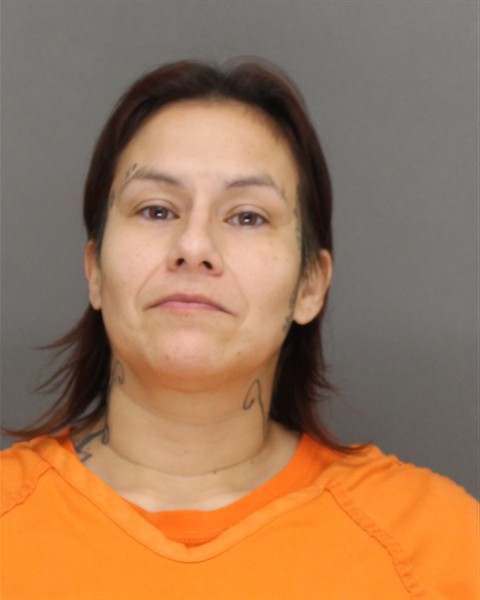 Mugshot of TARA LYNN HUCEK