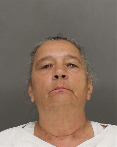 Mugshot of LORI ANN HERRBOLD