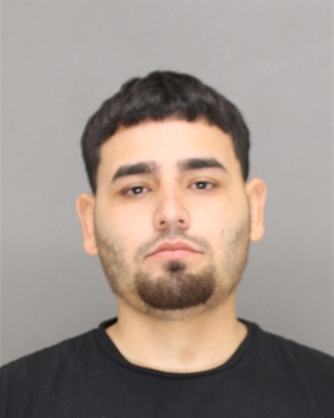 Mugshot of LUIS ANDRES MORALES-CASTILLO