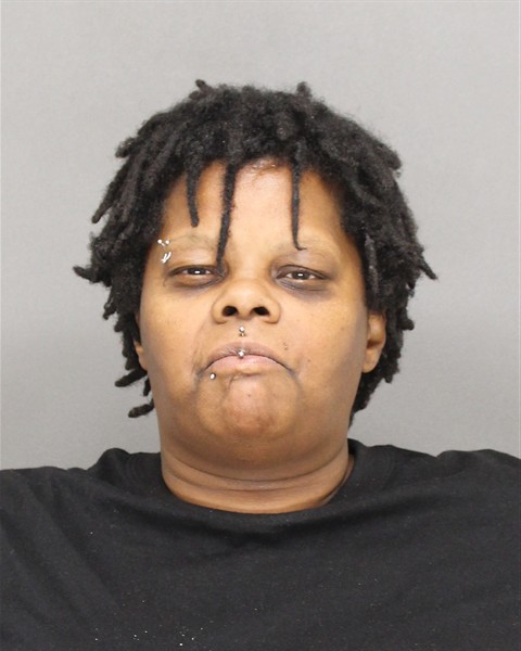 Mugshot of ERICA NMI JONES