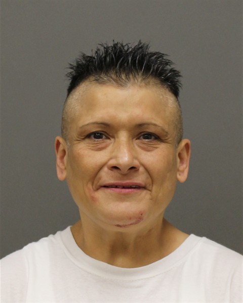Mugshot of JODY LEE SOTELO