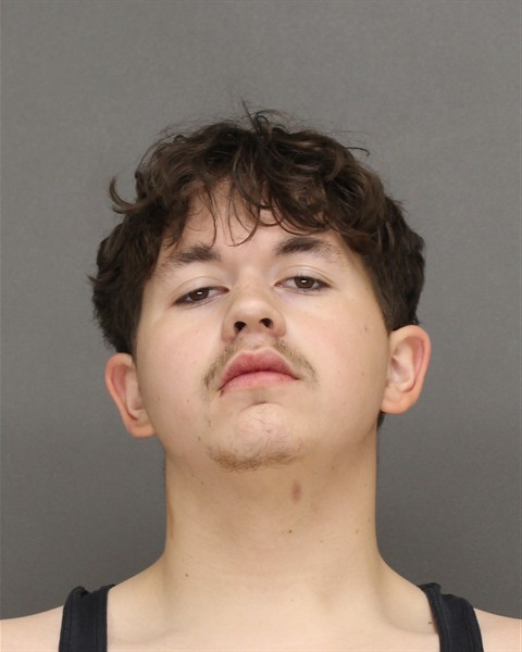Mugshot of ASHTON JAMES CARLIN