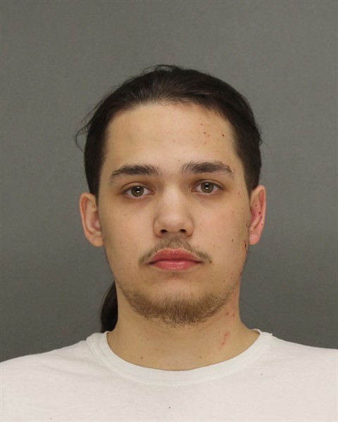 Mugshot of MORGAN MICHAEL DEGROOT