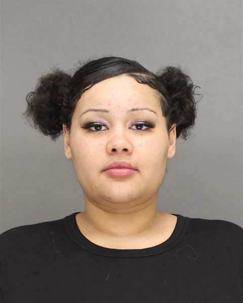 Mugshot of JAYLYNN RUTH JOHNSON