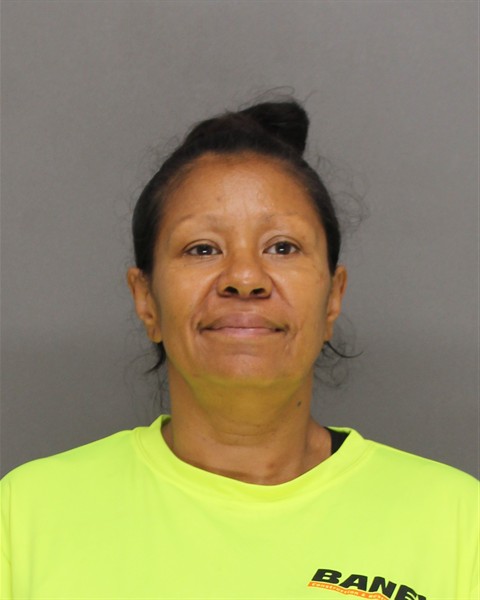 Mugshot of MELISSA NMI YOST
