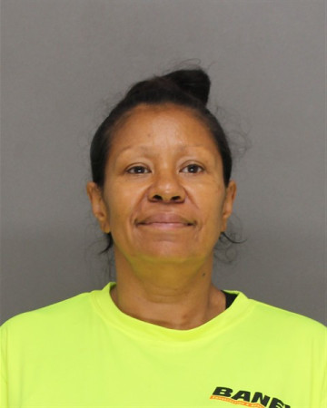 Mugshot of MELISSA NMI YOST