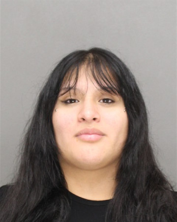 Mugshot of ADELA NMI VASQUEZ-SILAS