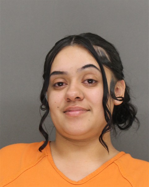 Mugshot of MIA MAUREEN MAES