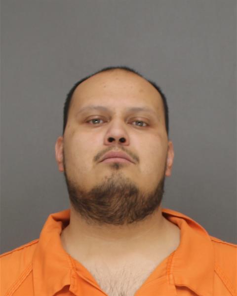 Mugshot of RANDALL LEWIS DANFORTH