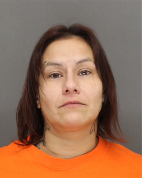 Mugshot of TARA LYNN HUCEK