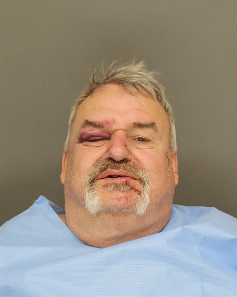 Mugshot of DEAN PATRICK VANLAANEN