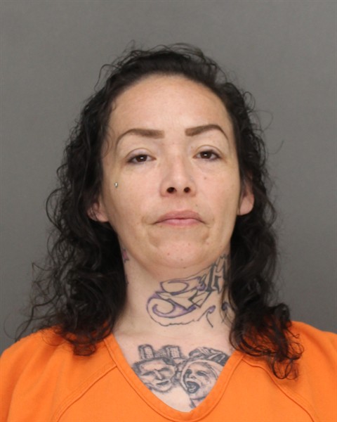 Mugshot of MARLEEN ELLEN MORGAN