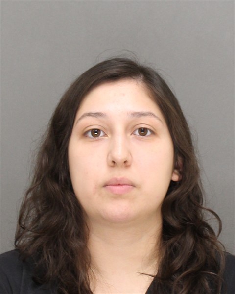 Mugshot of JULIANNA SERENA DOMBROSKI